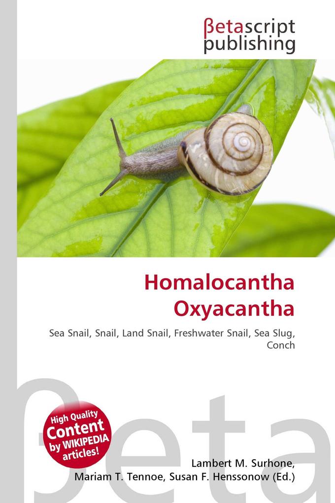 Homalocantha Oxyacantha