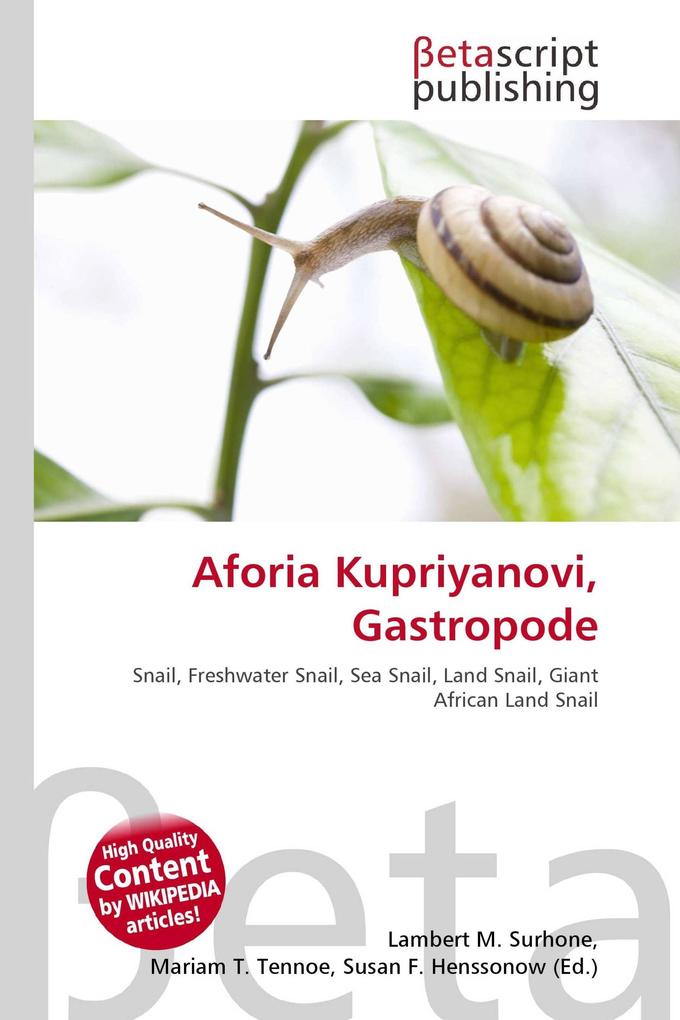 Aforia Kupriyanovi Gastropode