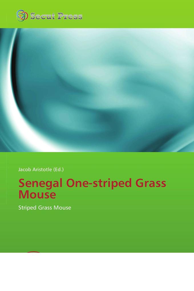 Senegal One-striped Grass Mouse