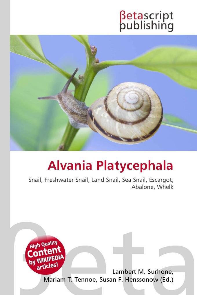 Alvania Platycephala