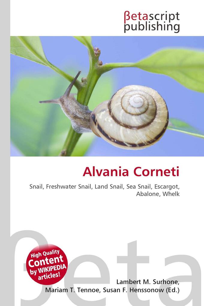 Alvania Corneti