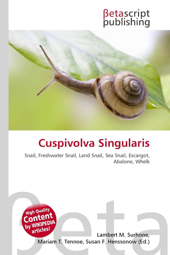 Cuspivolva Singularis