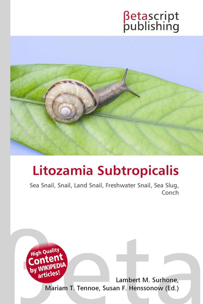 Litozamia Subtropicalis