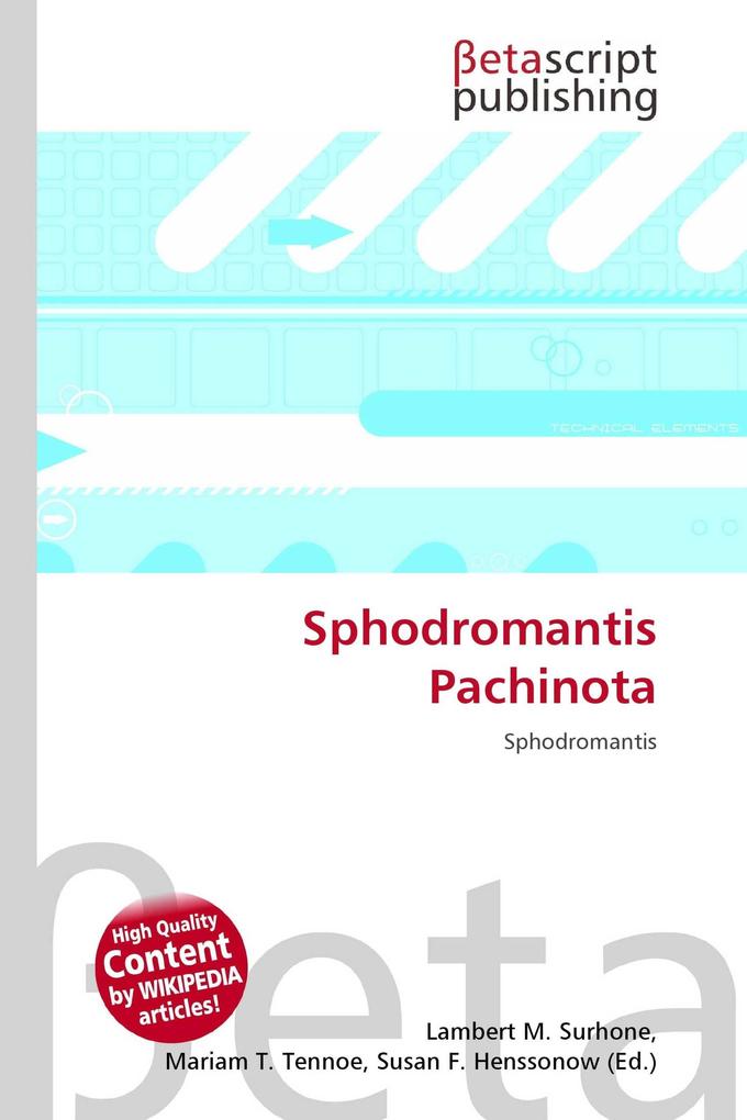 Sphodromantis Pachinota