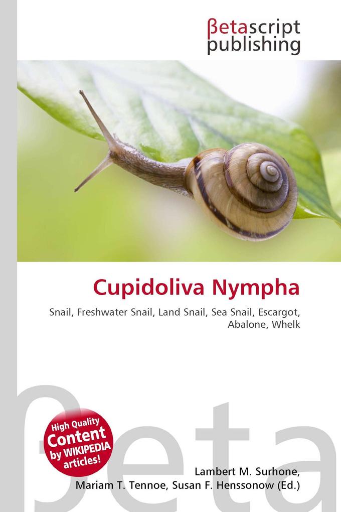 Cupidoliva Nympha