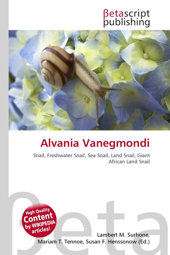 Alvania Vanegmondi