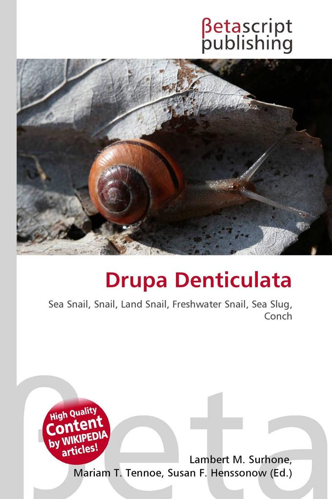 Drupa Denticulata