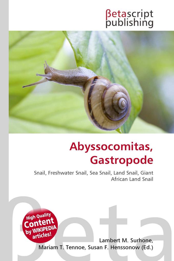 Abyssocomitas Gastropode