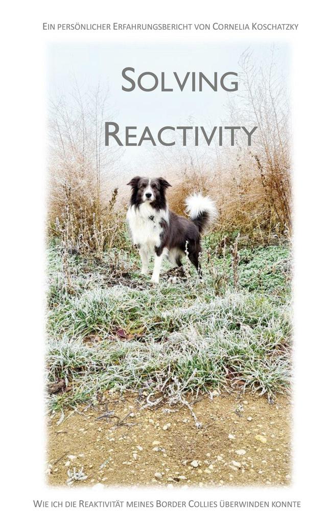 Solving Reactivity