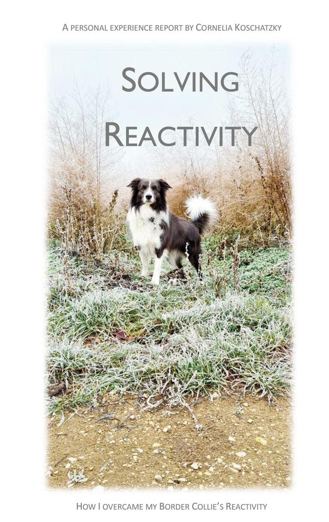 Solving Reactivity