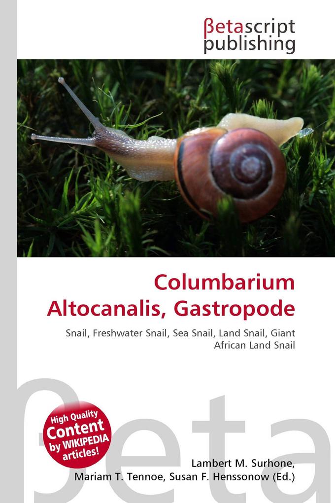 Columbarium Altocanalis Gastropode