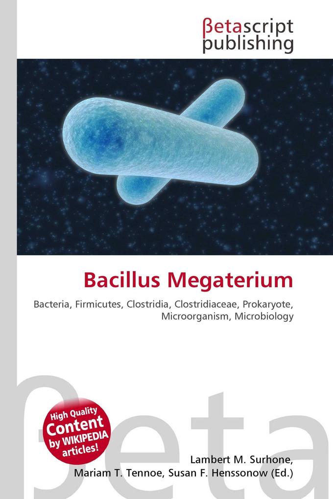 Bacillus Megaterium