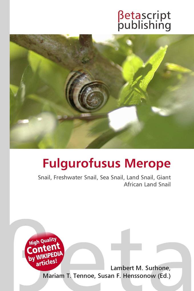 Fulgurofusus Merope
