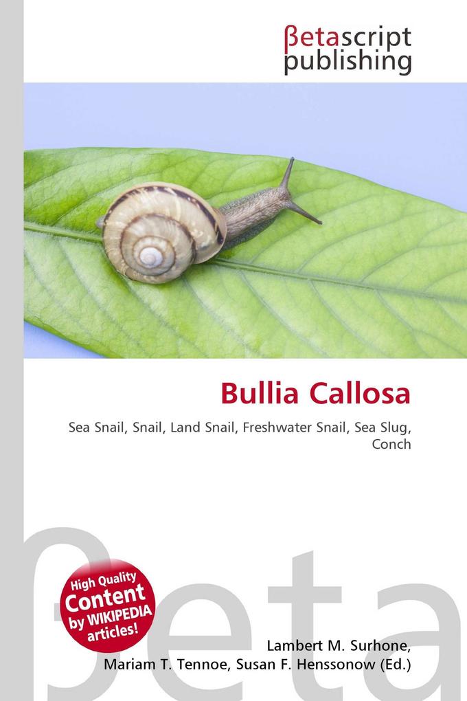 Bullia Callosa
