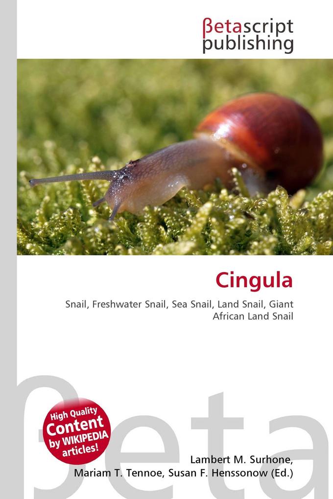 Cingula