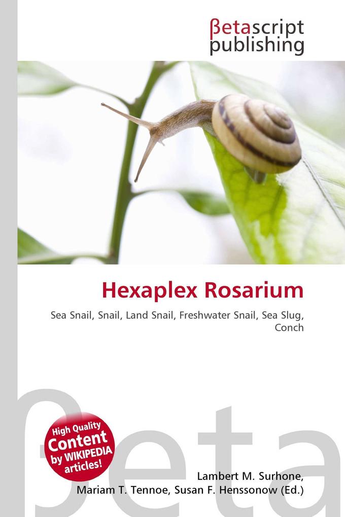 Hexaplex Rosarium