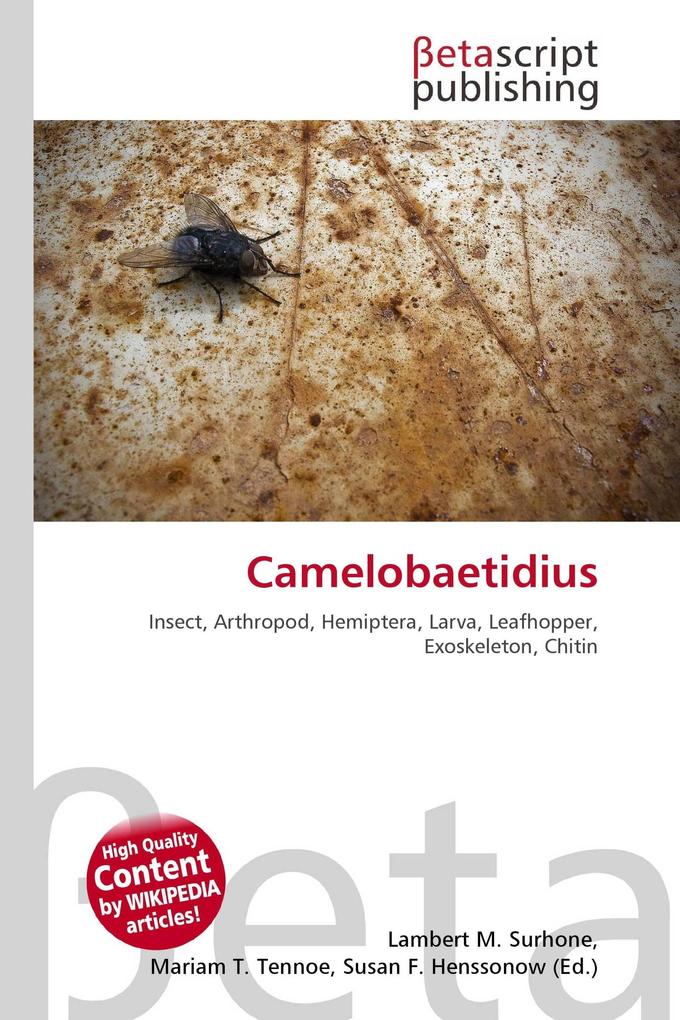 Camelobaetidius