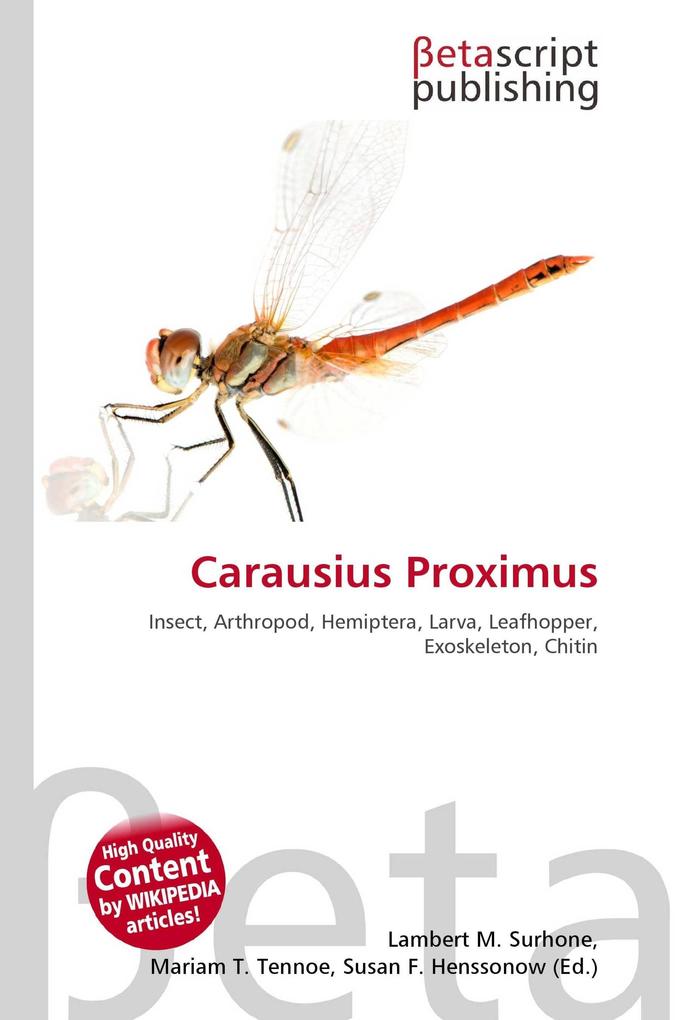 Carausius Proximus
