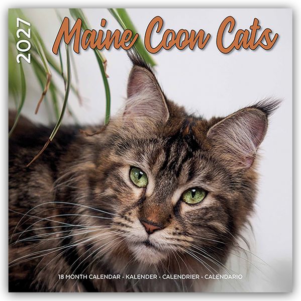 Maine Coon Cats - Main Coon Katzen 2027 - 18-Monatskalender - Original Plenty Gifts-Kalender [Mehrsprachig] [Kalender]