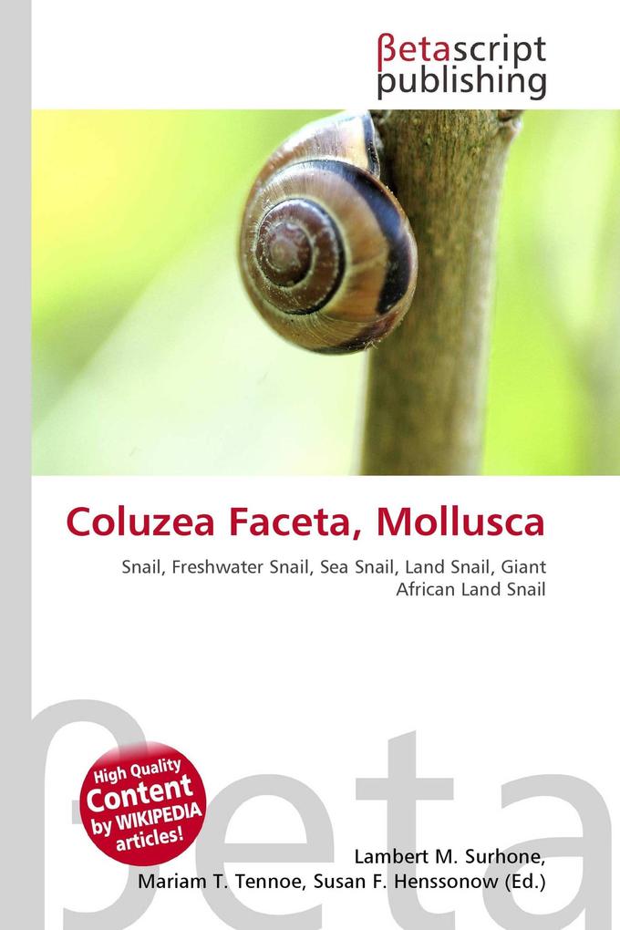 Coluzea Faceta Mollusca