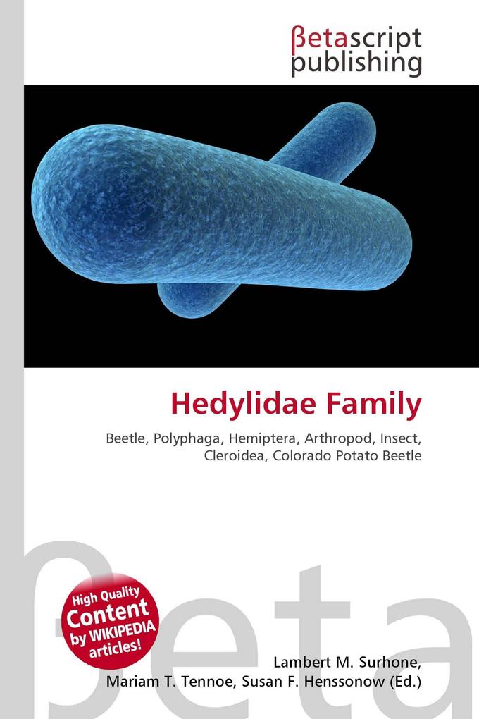 Hedylidae Family