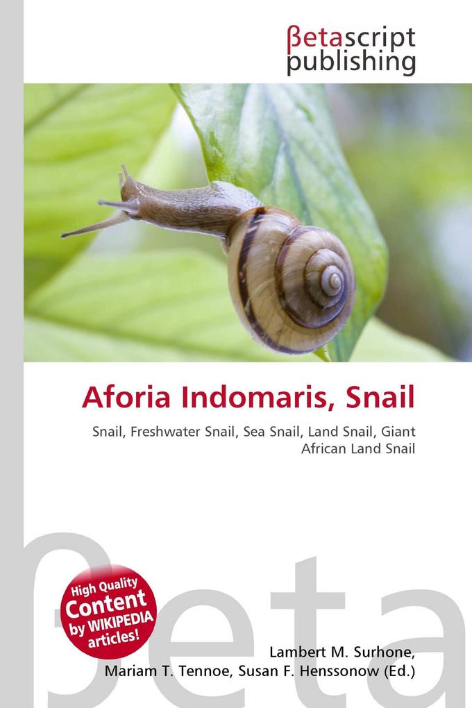 Aforia Indomaris Snail