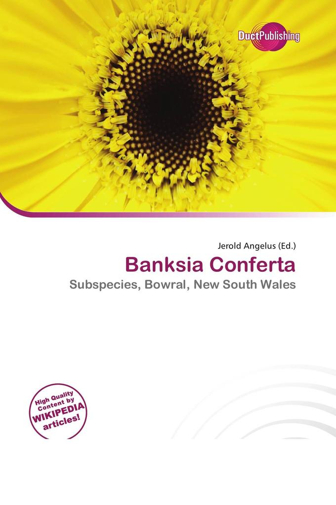 Banksia Conferta