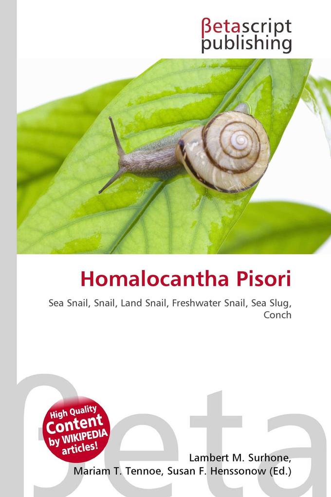 Homalocantha Pisori