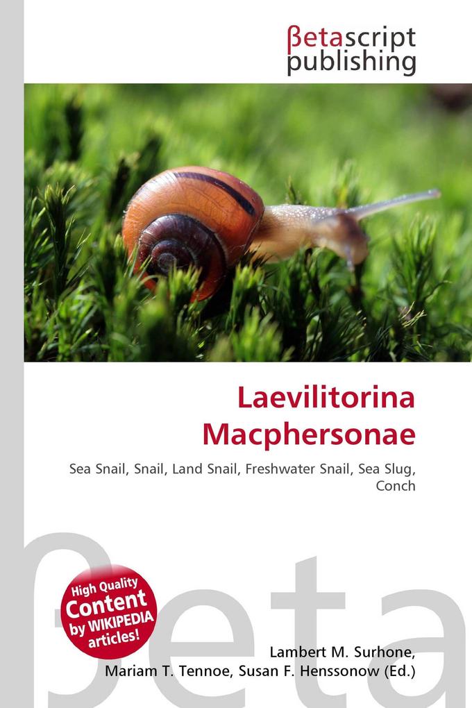 Laevilitorina Macphersonae