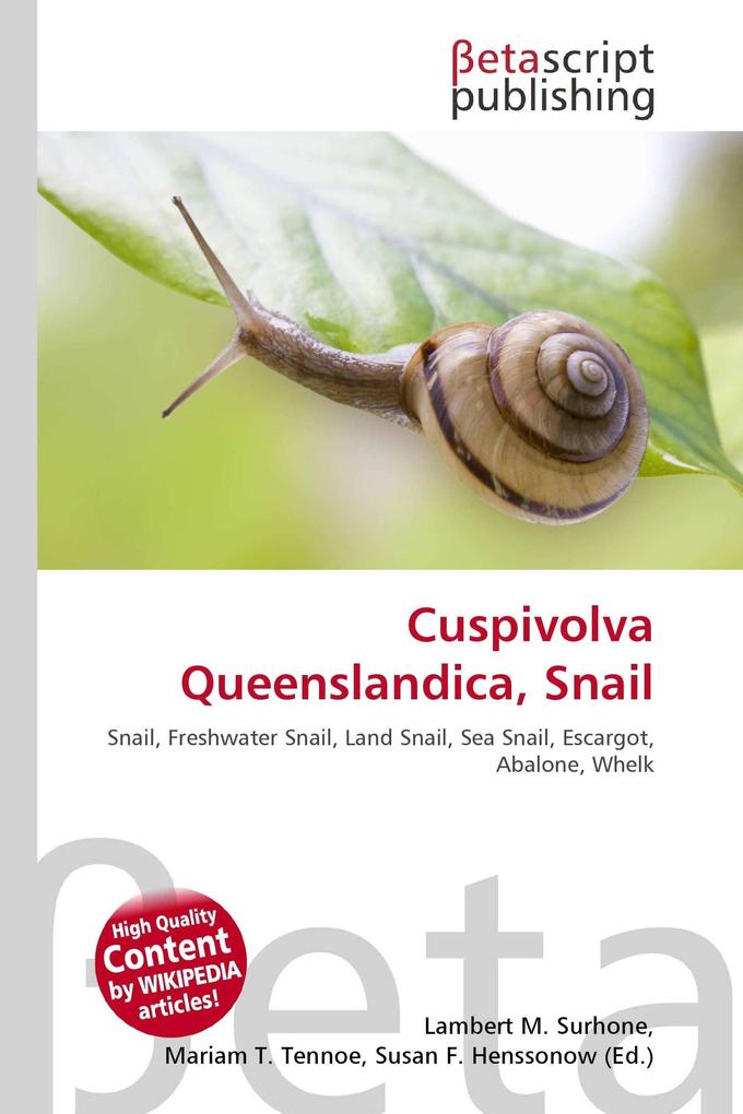 Cuspivolva Queenslandica Snail