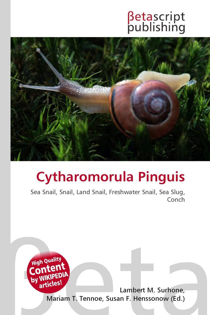 Cytharomorula Pinguis