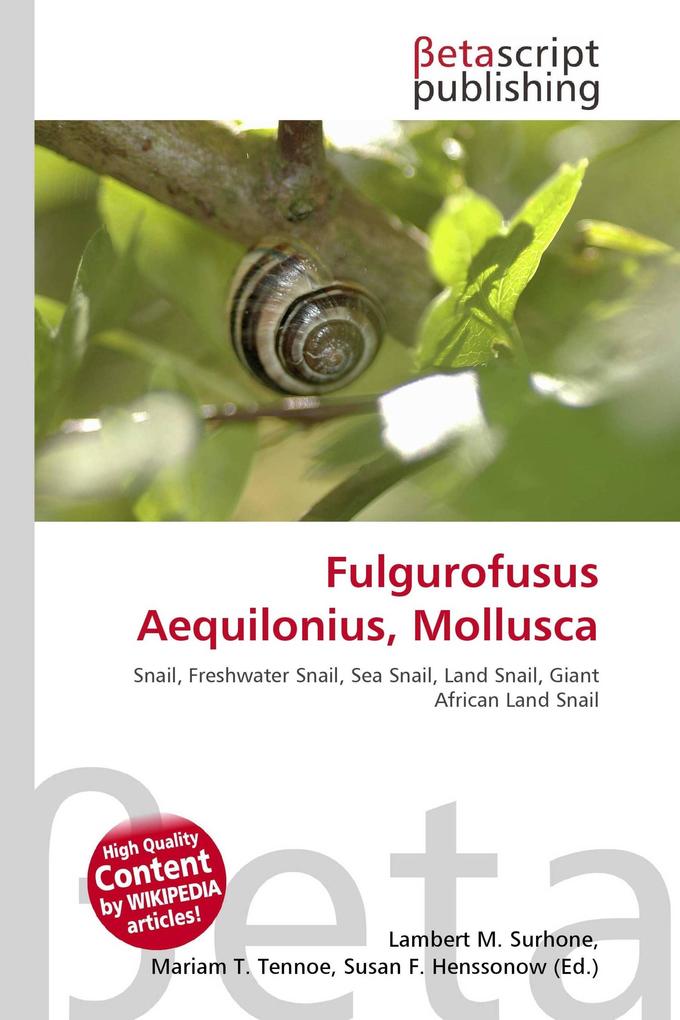 Fulgurofusus Aequilonius Mollusca