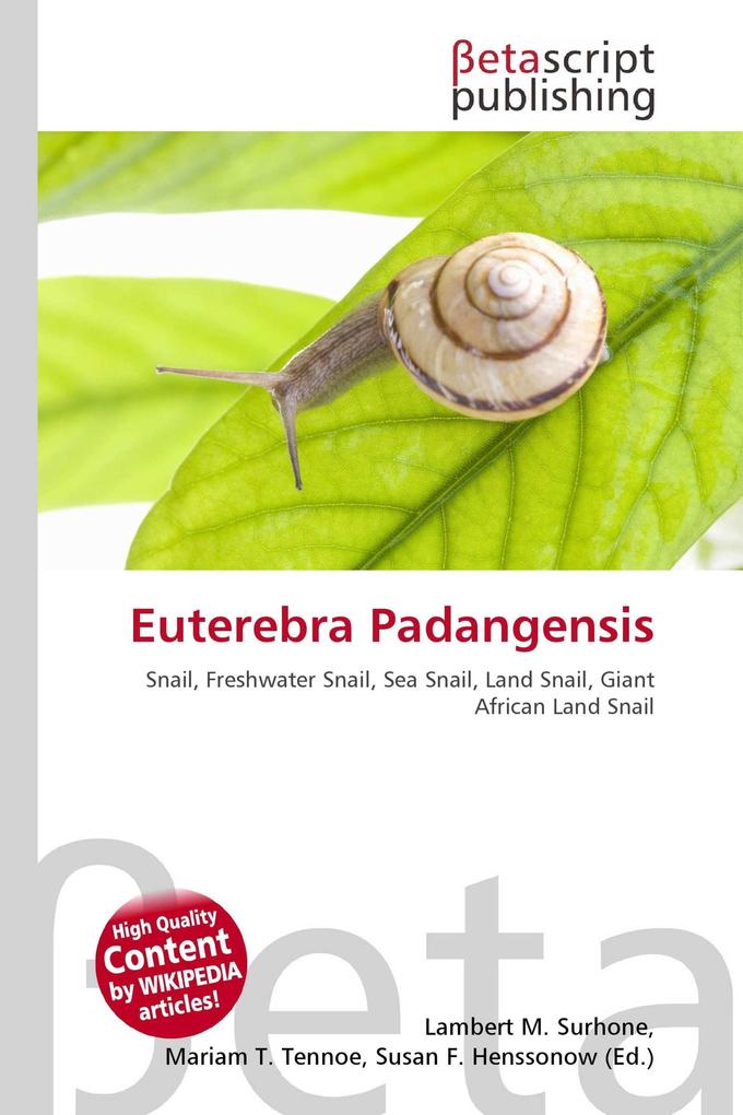 Euterebra Padangensis