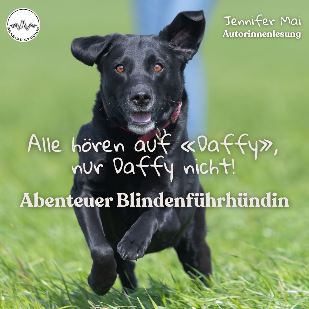 Alle hören auf «Daffy» nur Daffy nicht