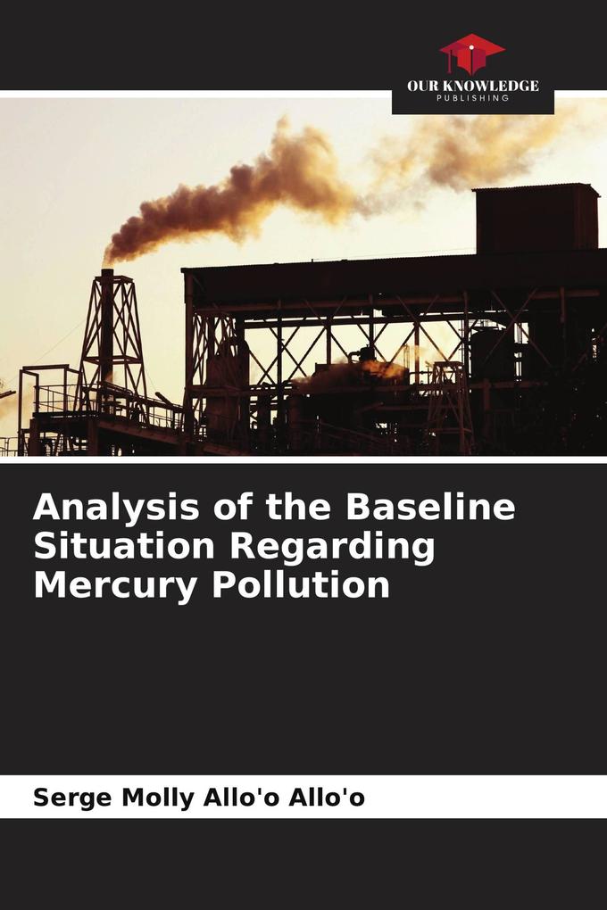 Analysis of the Baseline Situation Regarding Mercury Pollution