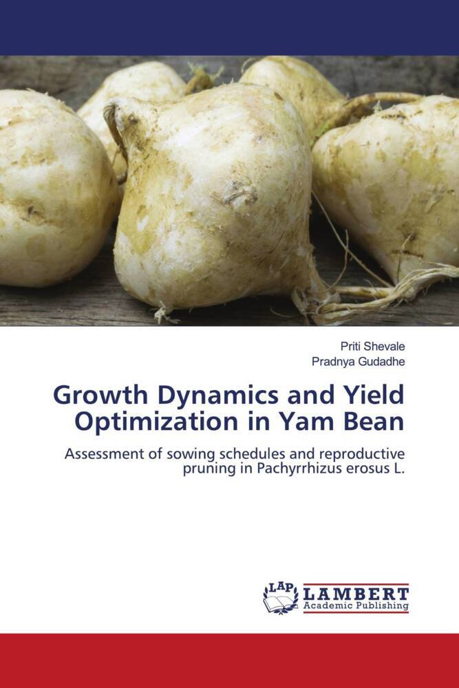 Growth Dynamics and Yield Optimization in Yam Bean