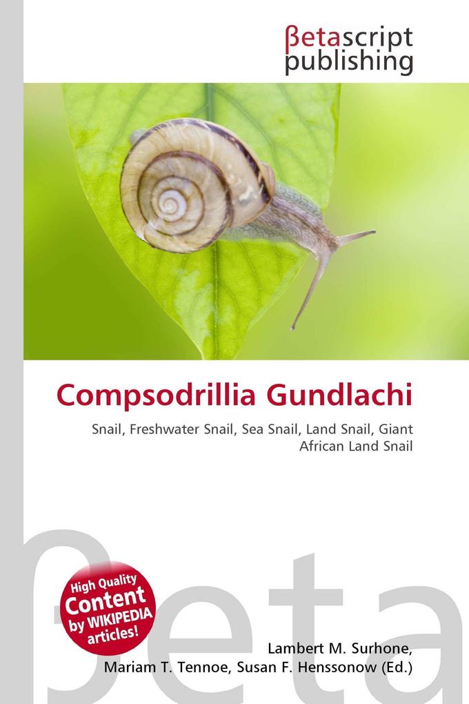 Compsodrillia Gundlachi