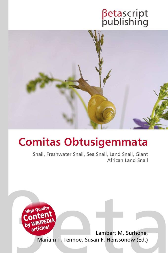 Comitas Obtusigemmata