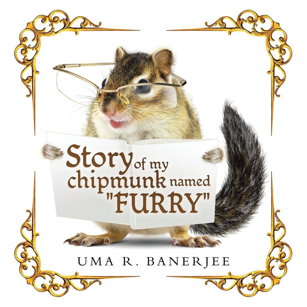 Story of my chipmunk named 'FURRY'