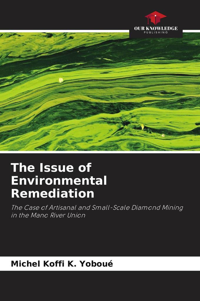 The Issue of Environmental Remediation