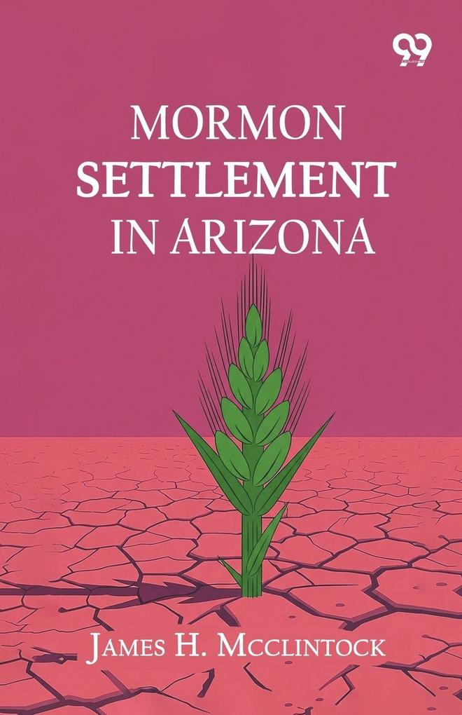 Mormon Settlement In Arizona