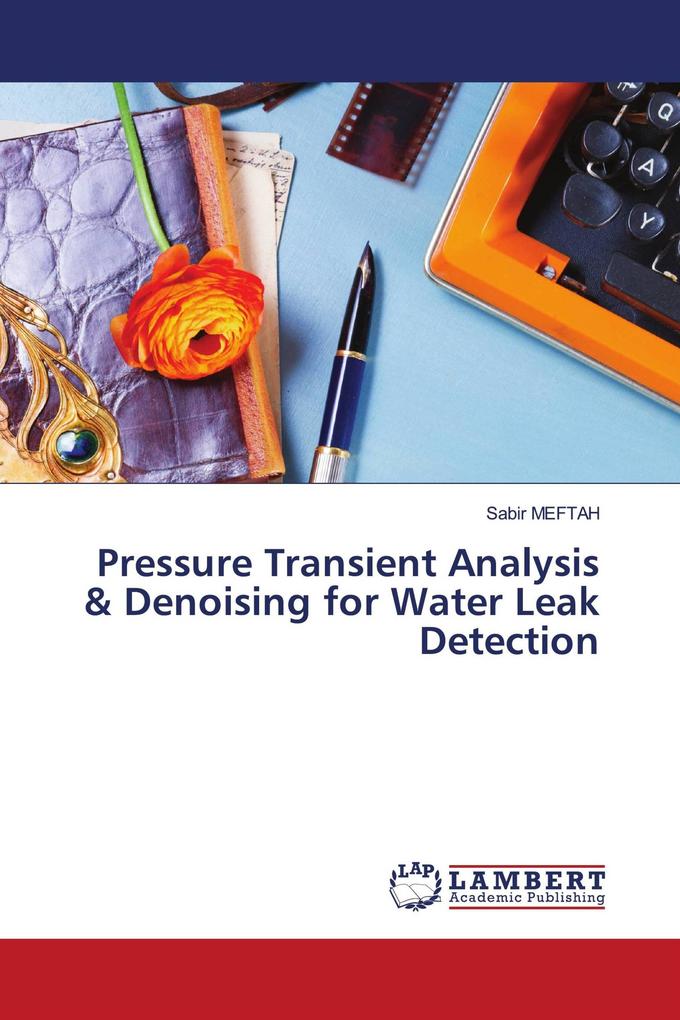 Pressure Transient Analysis & Denoising for Water Leak Detection