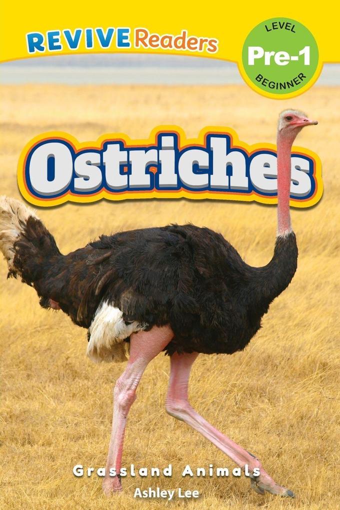 Ostriches
