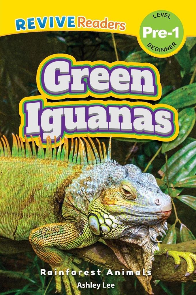 Green Iguanas