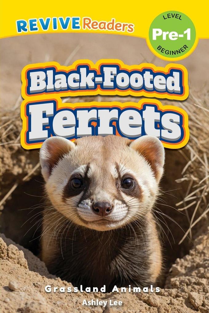Black-Footed Ferrets