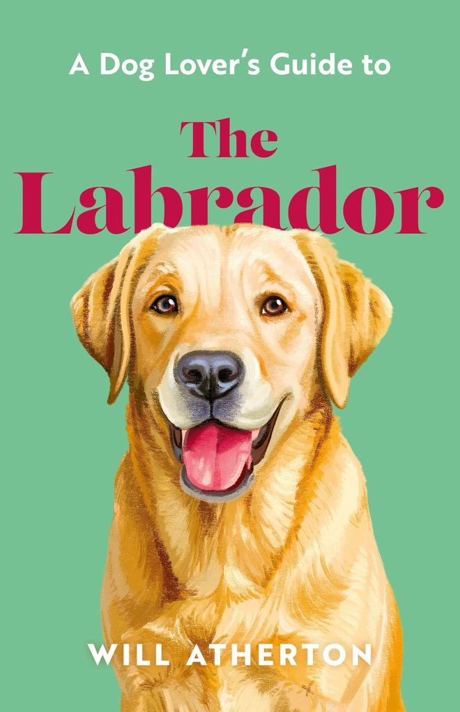 The Labrador