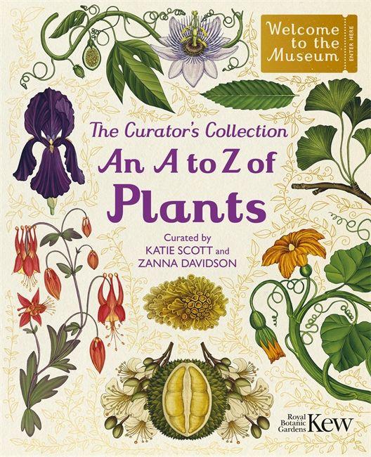 The Curator's Collection
