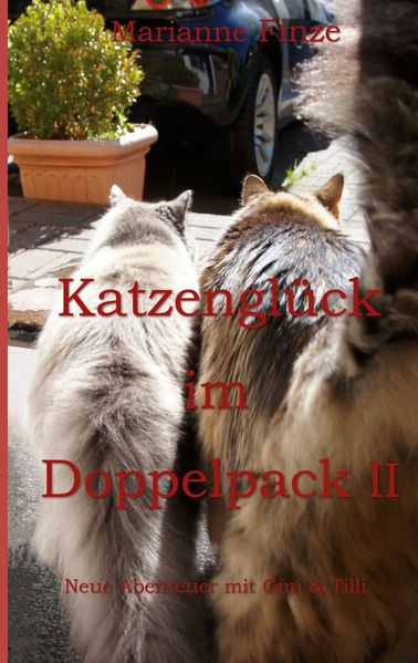 Katzenglück im Doppelpack II