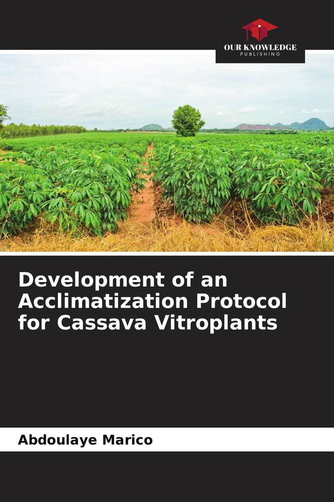 Development of an Acclimatization Protocol for Cassava Vitroplants