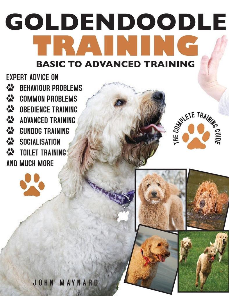 GOLDENDOODLE